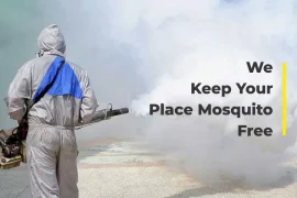 mosquito_control.webp